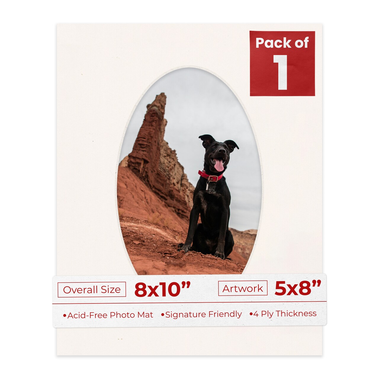 Silver Mist Mat Board for 8x10 Frames - Oval Opening for 5x8 Photos